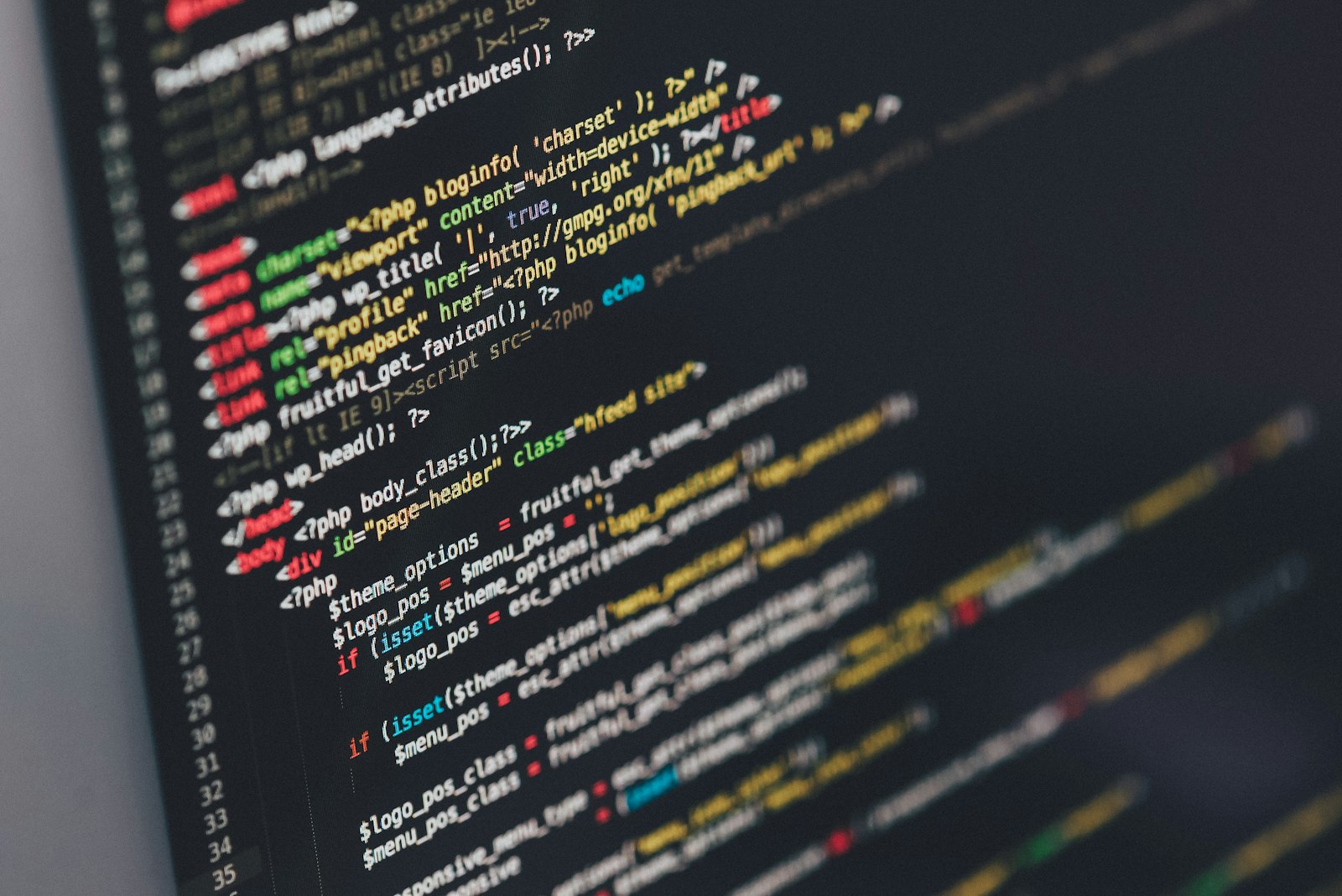 Software Development at Terron AI